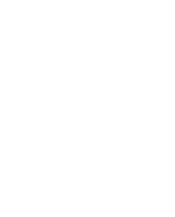 NETSOL AI – NETSOL Technologies